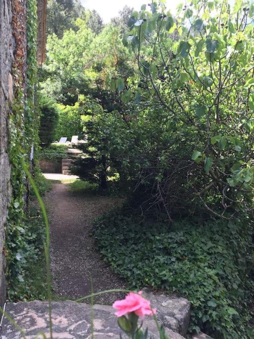 Grande Maison Familiale En Pierres Sud Ardeche Lalevade-dʼArdèche Kültér fotó